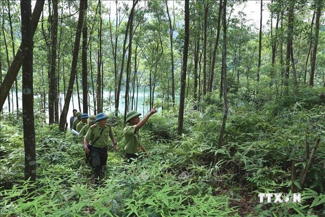 Chi cục Kiểm lâm tỉnh Bắc Giang phối hợp với lực lượng chuyên trách Ban quản lý rừng phòng hộ Sơn Động tổ chức đi tuần tra bảo vệ rừng. Ảnh: Vũ Sinh - TTXVN