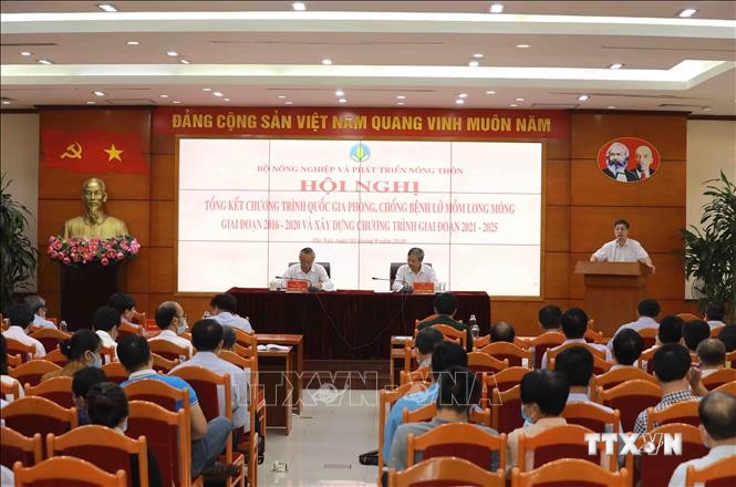 Giám đốc Sở NN&PTNT tỉnh Lạng Sơn Lý Việt Hưng phát biểu tham luận tại hội nghị. Ảnh: Vũ Sinh - TTXVN