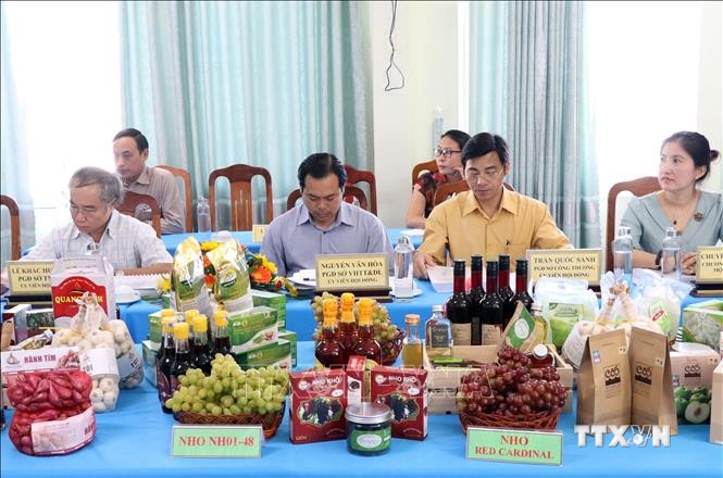 Ninh Thuận có 61/69 sản phẩm OCOP đạt tiêu chuẩn từ 3 đến 4 sao