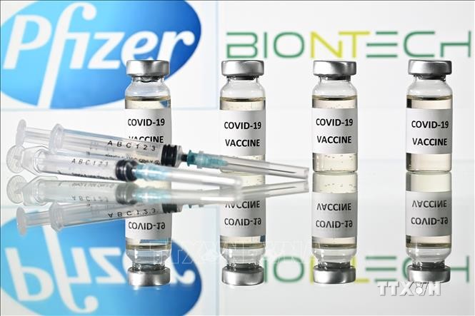Vaccine ngừa COVID-19 của công ty Pfizer. Ảnh: AFP/TTXVN