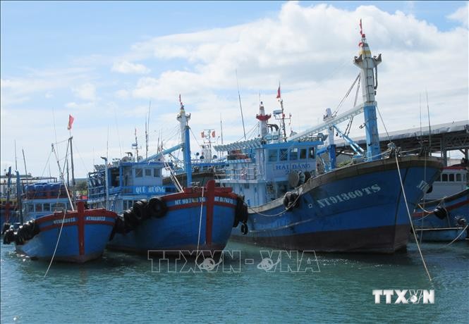 Tàu cá khai thác xa bờ của ngư dân neo đậu tại bến cá . Ảnh: Nguyễn Thành - TTXVN