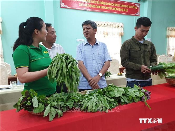Trà Vinh hỗ trợ hợp tác xã tìm thị trường ổn định cho nông sản. Ảnh Thanh Hòa
