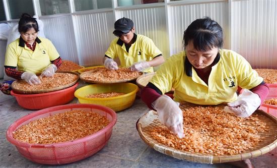 Sản phẩm tôm khô của cơ sở Tôm khô Tiến Hải, xã Đông Hải, huyện Duyên Hải - sản phẩm OCOP đạt 3 sao năm 2019. Ảnh : travinh.gov.vn