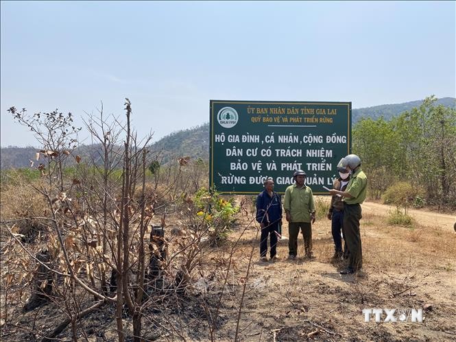 Cán bộ kiểm lâm phối hợp với tổ cộng đồng làng Ia Ke, xã Ia Phang (Chư Pưh, Gia Lai) tuần tra bảo vệ rừng trên địa bàn. Ảnh: Hoài Nam – TTXVN