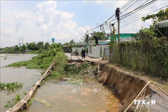 Đoạn sạt lở có chiều dài khoảng 20 m, ăn sâu vào đất liền 3 - 4 m, cắt đứt giao thông tuyến Nha Mân - Phú Long thuộc huyện Châu Thành (Đồng Tháp). Ảnh: Chương Đài - TTXVN