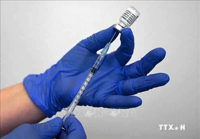 Vaccine ngừa COVID-19 của Pfizer-BioNTech. Ảnh: AFP/TTXVN