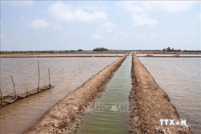 Ao nuôi Artemia của nông dân ở huyện Hòa Bình (tỉnh Bạc Liêu). Ảnh: Chanh Đa-TTXVN