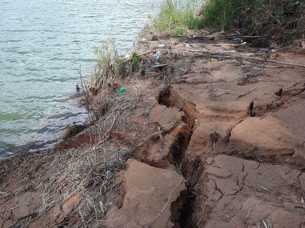 Bờ sông Hiếu đoạn qua xã Cam Thủy, huyện Cam Lộ bị sạt lở nghiêm trọng. Ảnh: Hồ Cầu - TTXVN