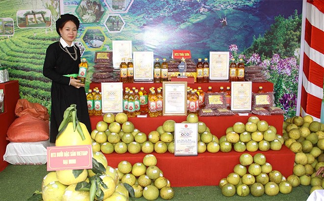 Các sản phẩm OCOP của tỉnh được tự hào giới thiệu tại nhiều sự kiện trong và ngoài tỉnh. Ảnh :baoyenbai.com.vn
