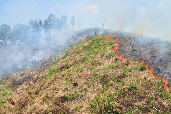 Nắng nóng kéo dài, nguy cơ cháy rừng rất cao ở Nam Giang, tỉnh Quảng Nam. Nguồn: baoquangnam.vn
