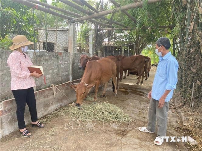 Cán bộ thú y cơ sở tuyên truyền cho người dân cách phòng, chống dịch bệnh viêm da nổi cục trên đàn trâu, bò. Ảnh: TTXVN phát
