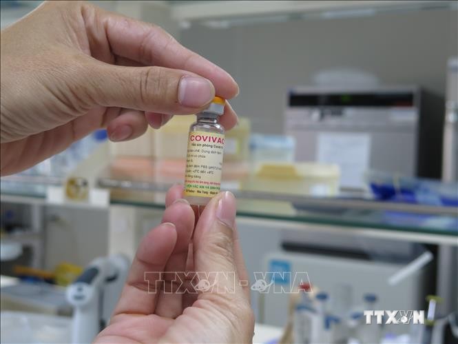 Vaccine Covivac thành phẩm do Viện Vaccine và Sinh phẩm Y tế (thuộc Bộ Y tế) đặt tại Khánh Hòa nghiên cứu và sản xuất. Ảnh: Phan Sáu - TTXVN
