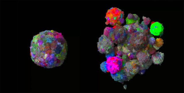 Mô hình 3D cho thấy khối u phát triển và biến đổi như thế nào theo thời gian.Ảnh: genk.vn
