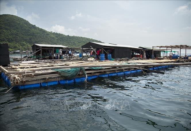 Mô hình nuôi biển ở Bãi Nam, xã Hòn Nghệ. Ảnh: Hồng Đạt/TTXVN
