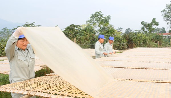 Lào Cai phát triển sản phẩm OCOP vì sức khỏe cộng đồng