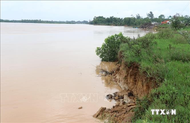 Bờ sông Thạch Hãn đoạn qua phường Đông Lương, thành phố Đông Hà bị sạt lở do mưa lớn. Ảnh: Nguyên Lý-TTXVN
