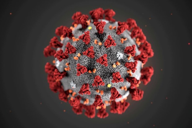 Các vaccine thế hệ tiếp theo phòng COVID-19 nên tập trung vào việc tạo ra phản ứng miễn dịch chống lại sự nhân bản protein của virus SARS-CoV-2. Ảnh minh họa: Reuters
