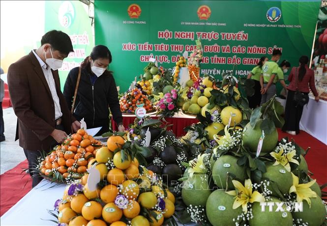 Các đại biểu tham quan các giảng hàng trưng bày nông sản trưng bày tại hội nghị. Ảnh: Danh Lam-TTXVN
