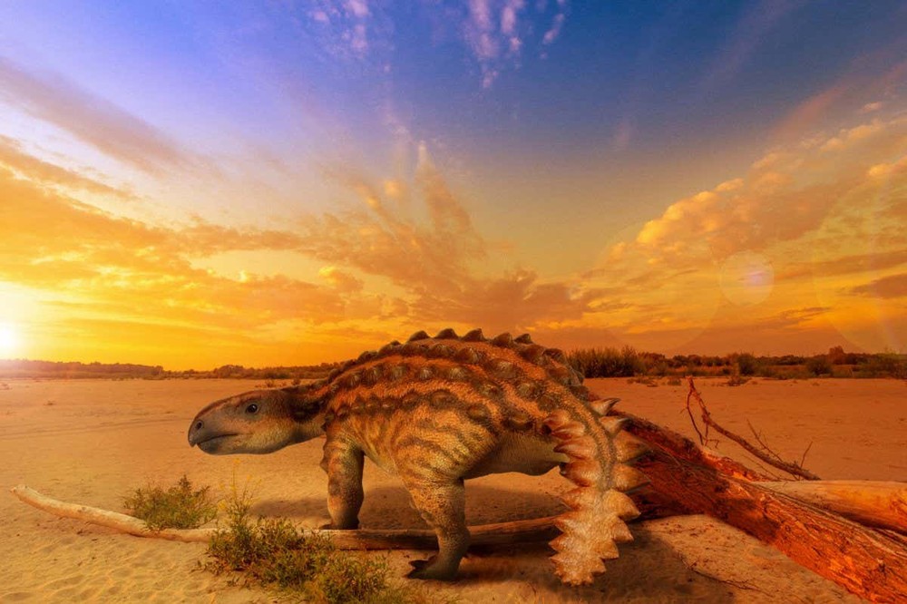 Minh họa mô phỏng loài khủng long mới có tên là Stegouros elengassen được phát hiện tại Chile. Ảnh: newscientist.com  