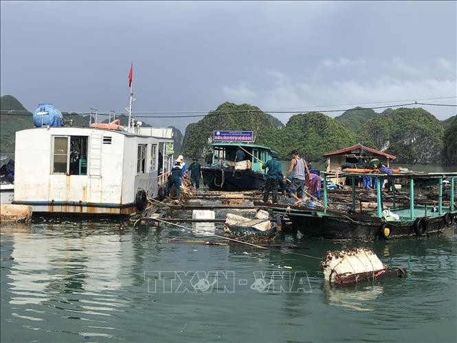 Cắt giảm, đơn giản hóa nhiều thủ tục hành chính lĩnh vực nông nghiệp