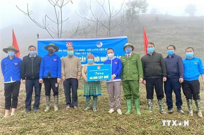 Tỉnh đoàn Yên Bái hưởng ứng chương trình Tết trồng cây và trao tặng 45.000 cây quế giống cho người dân tại thôn Giao Lâu, xã Pá Lau, huyện Trạm Tấu. Ảnh: Tiến Khánh – TTXVN.
