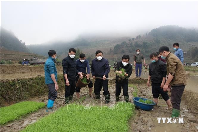 Lãnh đạo huyện Trạm Tấu trực tiếp xuống ruộng hướng dẫn người dân gieo và chăm sóc mạ vụ Xuân năm 2022. Ảnh: TTXVN phát.
