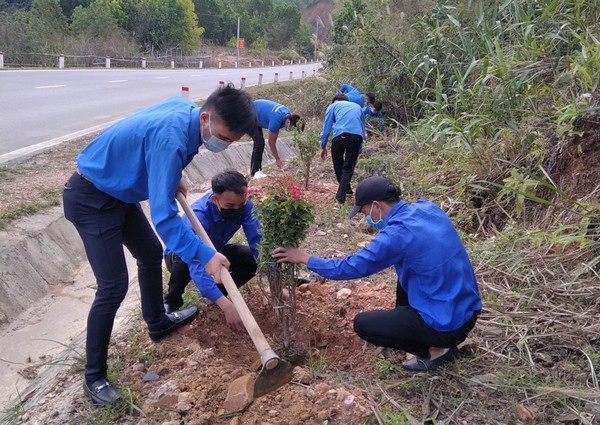 Đoàn viên Thanh niên thành phố Móng Cái tham gia trồng cây. Ảnh: doanthanhnien.vn
