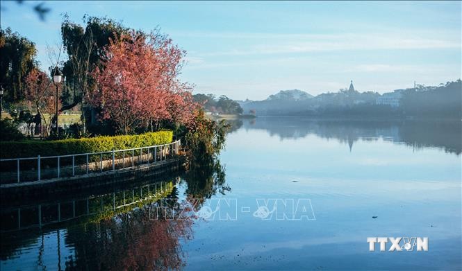 Hồ Xuân Hương – trái tim của Đà Lạt và cũng là thắng cảnh nổi tiếng, thu hút du khách trong và ngoài nước bởi vẻ đẹp dịu dàng, lãng mạng. Ảnh : Nguyễn Dũng-TTXVN
