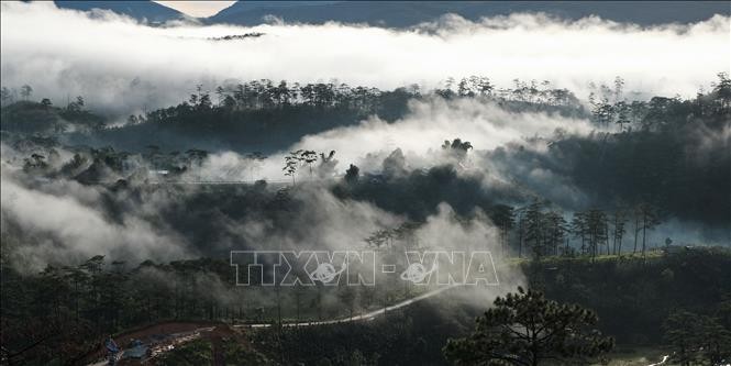 Đà Lạt được bao quanh bởi những cánh rừng với mây mù bao phủ và cũng trở thành sản phẩm du lịch “săn mây” rất hấp dẫn du khách. Ảnh: Nguyễn Dũng-TTXVN
