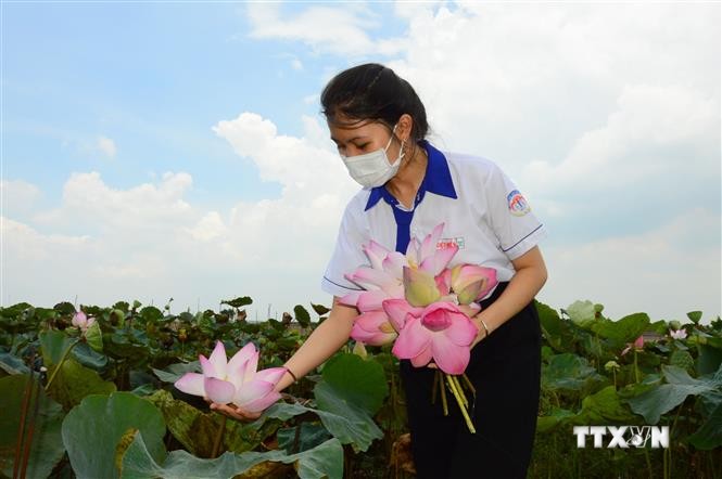 Nguyễn Thị Diệu Hiền - Nữ sinh Đồng Tháp làm son môi từ hoa sen