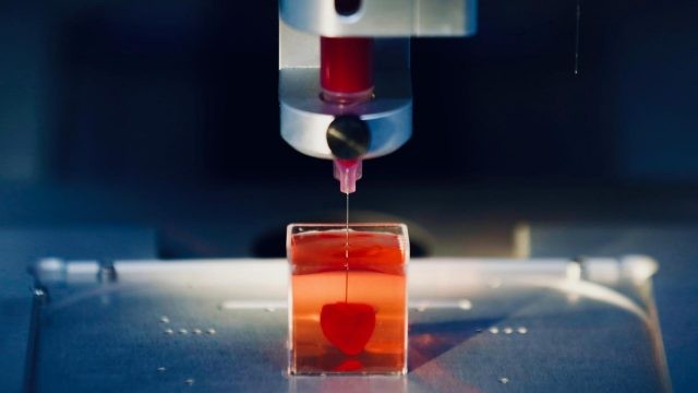 Bỉ ứng dụng công nghệ in 3D trong lĩnh vực cấy ghép y học