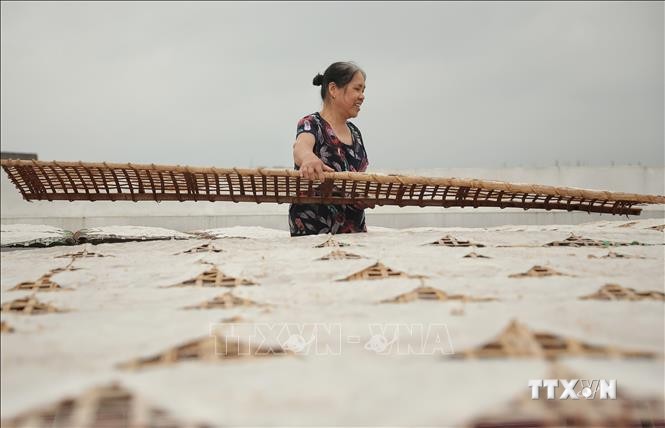 Xã Dĩnh Kế (thành phố Bắc Giang, tỉnh Bắc Giang) có hơn nửa số thôn làm bánh đa, trong đó bánh đa của làng Kế là nổi tiếng hơn cả bởi hương vị độc đáo và thơm ngon không giống với bất cứ nơi đâu. Ảnh: Danh Lam-TTXVN