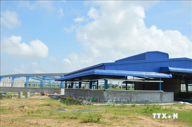 Đất bãi bồi ở huyện Hồng Ngự được cho doanh nghiệp thuê để đầu tư dự án sản xuất cá tra giống. Ảnh: Nhựt An - TTXVN
