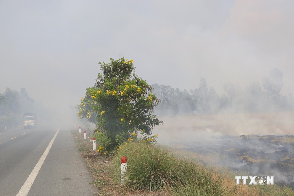 Khói đốt rơm làm hạn chế tầm nhìn trên Quốc lộ 61C, đoạn qua huyện Vị Thủy, tỉnh Hậu Giang. Ảnh: Duy Khương - TTXVN
