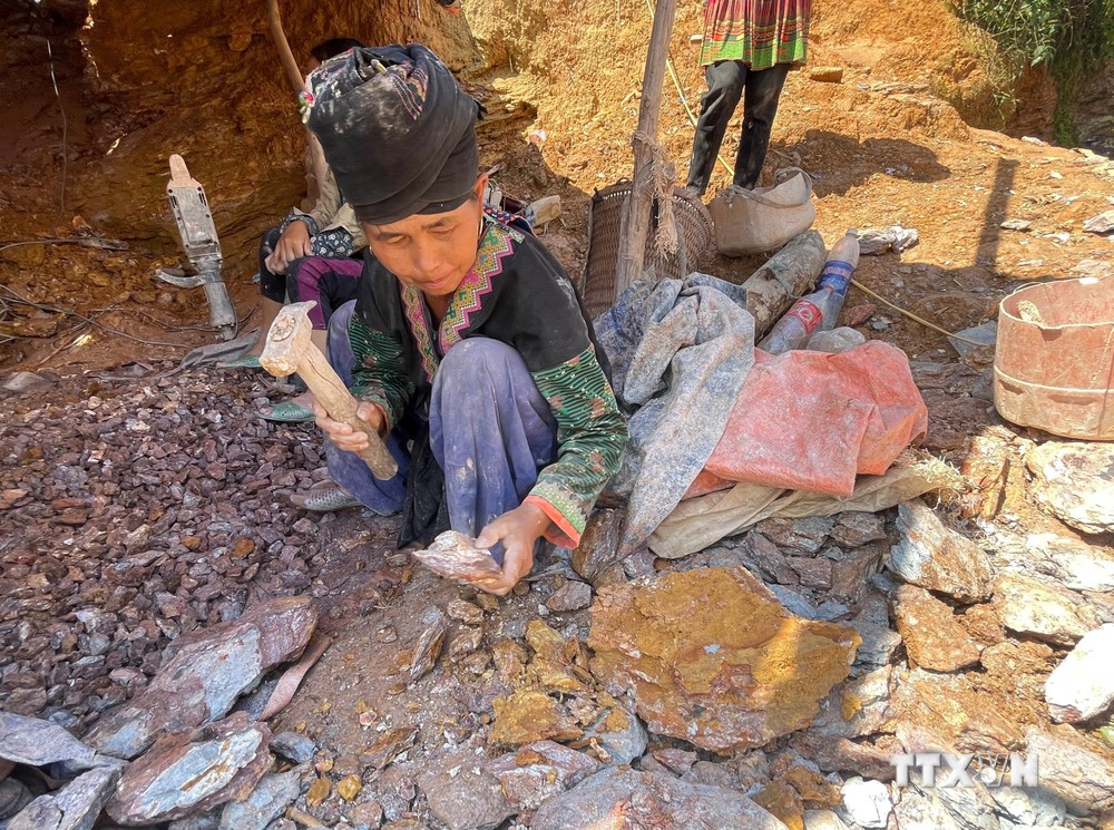 Một người dân đập các quặng vàng ra nhỏ để dễ cho vào máy nghiền. Ảnh: Nhóm PV TTXVN tại Lai Châu
