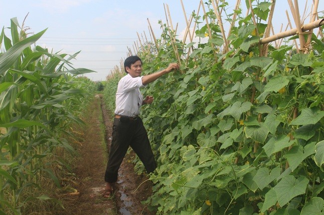 Tiên phong chuyển đổi mô hình sản xuất nông nghiệp cho hiệu quả kinh tế cao ở Bắc Ninh