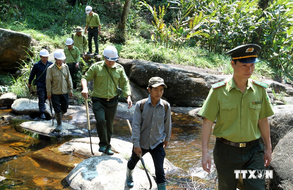 Chính sách chi trả dịch vụ môi trường rừng phát huy hiệu quả tại Lào Cai