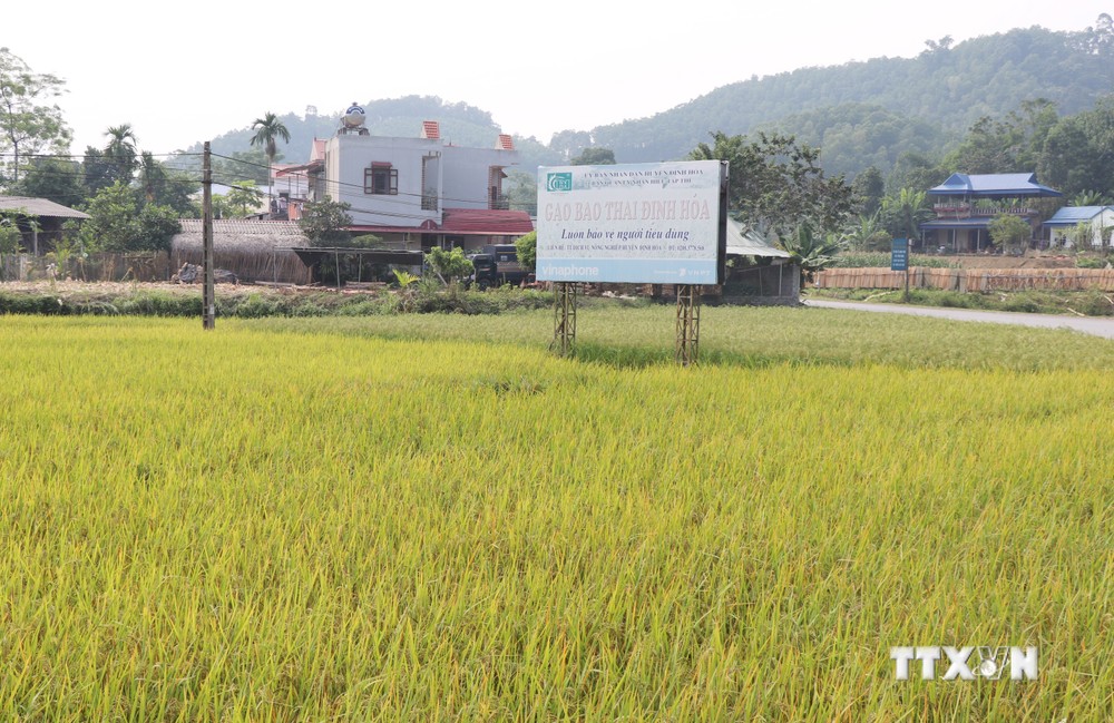 Nỗ lực đưa Định Hóa trở thành huyện nông thôn mới trong năm 2023