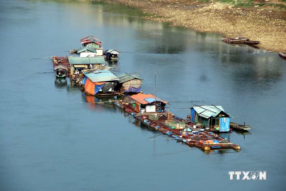 Một số lồng nuôi cá trên sông Lô, địa phận phường Nông Tiến, thành phố Tuyên Quang. Ảnh: Vũ Quang – TTXVN
