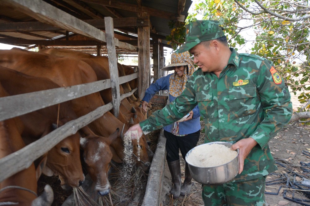 Thiếu tá Từ Văn Sương cùng gia đình ông Nguyễn Văn Triều chăm sóc đàn bò. Ảnh: Tuấn Anh – TTXVN
