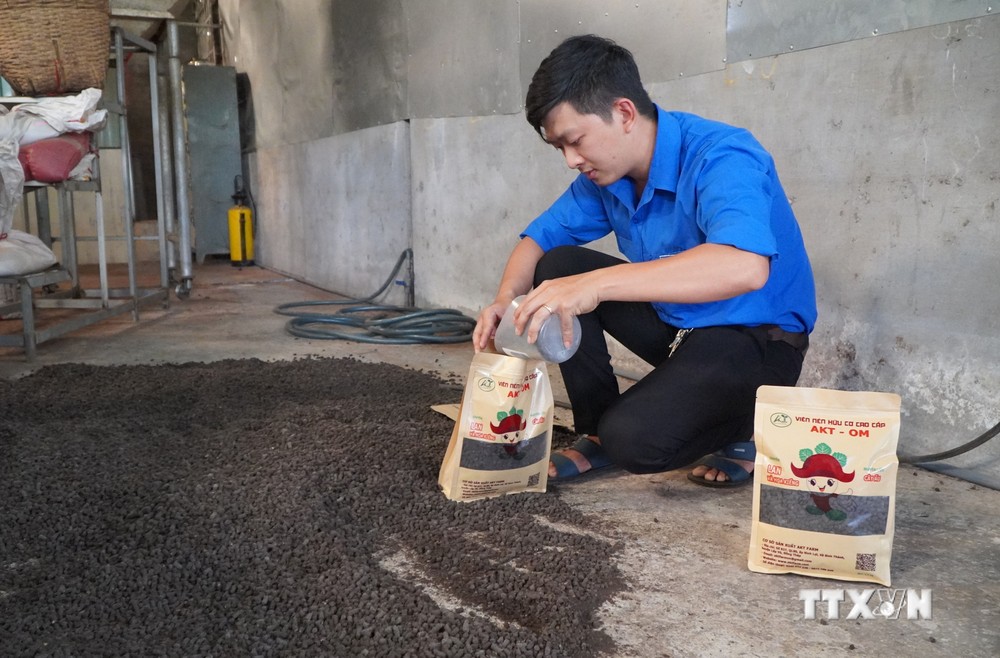 Anh Nguyễn Trường An đóng gói sản xuất phân hữu cơ dạng viên nén sản xuất từ vỏ củ ấu. Ảnh: Nhựt An - TTXVN

