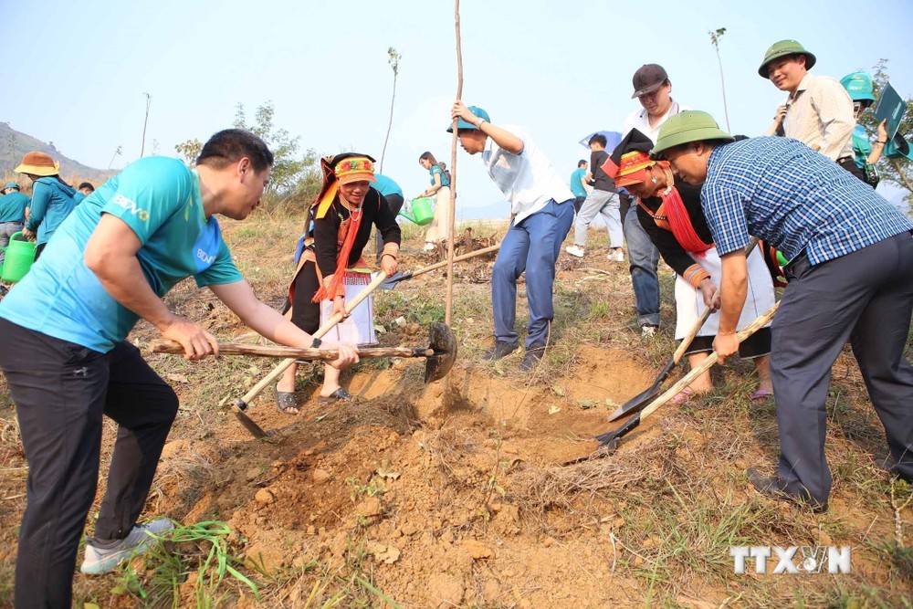 Phó tổng giám đốc BIDV, ông Trần Phương cùng Bí thư huyện ủy Phong Thổ, Sùng A Nủ và người dân trồng cây xanh tại xã Bản Lang tại lễ trồng cây. Ảnh: Quý Trung – TTXVN