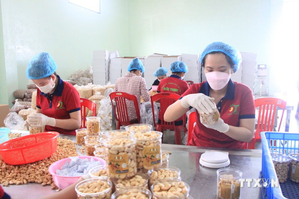 Công nhân đóng gói hạt điều tại Công ty TNHH MTV sản xuất thương mại Đức Thịnh (tại xã Thống Nhất, huyện Bù Đăng). Ảnh: K GỬIH - TTXVN
