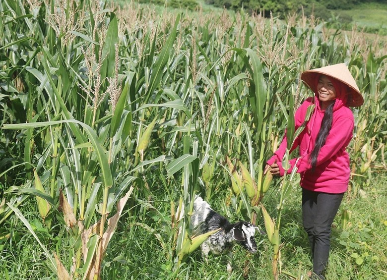 Bình Thuận đảm bảo người nghèo được thụ hưởng các chính sách trợ giúp