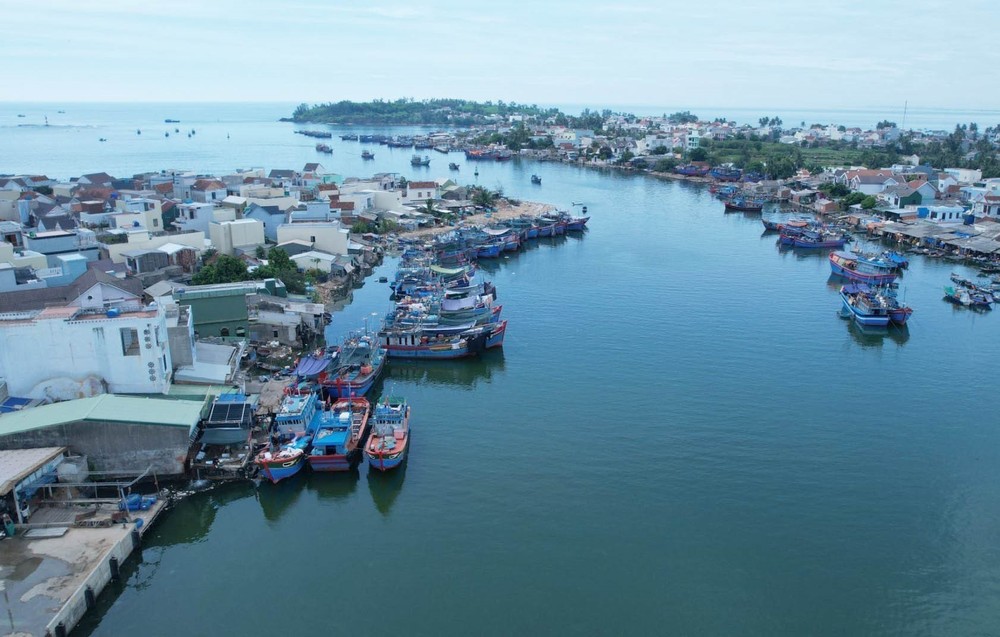 Khu vực mặt nước cảng Sa Kỳ đang bị tàu cá chiếm dụng làm nơi neo đậu gây mất an toàn cho các tàu cở khách du lịch ra vào huyện Lý Sơn. Ảnh: TTXVN phát