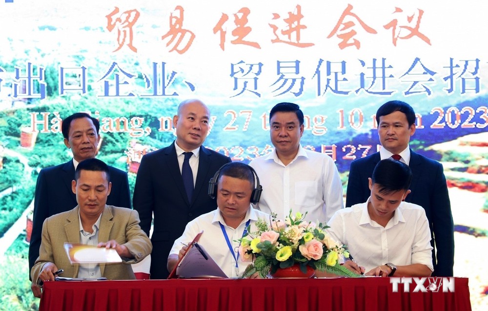Lễ ký kết tiêu thụ chè giữa doanh nghiệp của tỉnh Hà Giang với doanh nghiệp tỉnh Vân Nam (Trung Quốc). Ảnh: TTXVN phát
