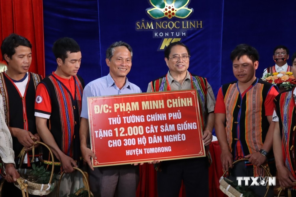 Trong chuyến công tác đến huyện Tu Mơ Rông (tỉnh Kon Tum) tháng 8/2023, Thủ tướng Chính phủ Phạm Minh Chính đã tặng 12.000 cây sâm giống cho 300 hộ nghèo. Ảnh: Cao Nguyên - TTXVN

