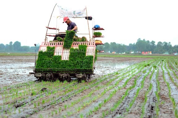 Nông dân thực hiện cấy lúa bằng máy tại ấp Ông Nhan Tây, xã Bình Hiệp, thị xã Kiến Tường góp phần giảm chi phí, nâng cao hiệu quả. Ảnh: An Hiếu