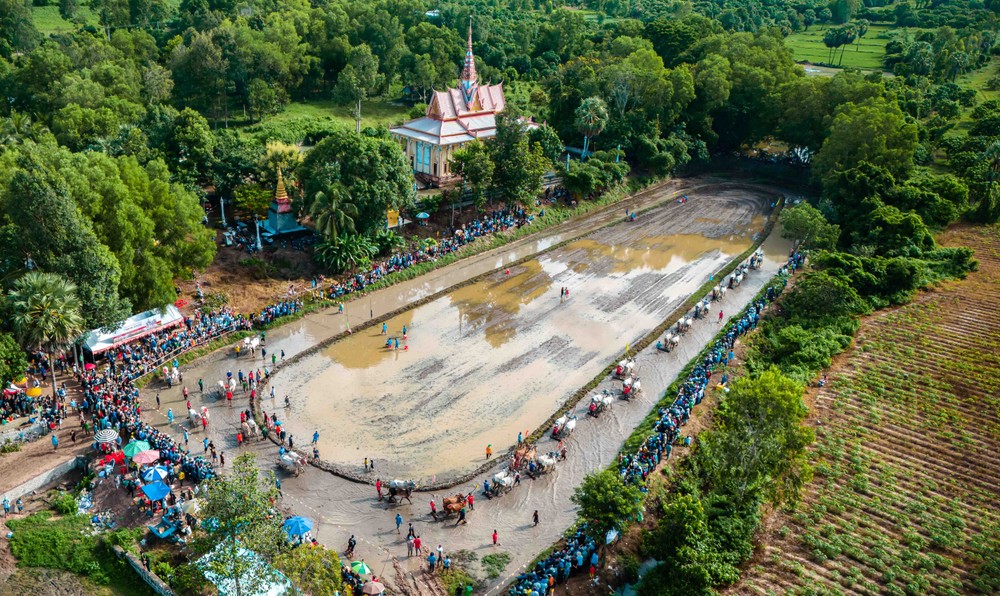 Mùa Sene Dolta, ghé chùa Rô xem hội đua bò