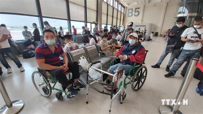 越南将在中国台湾的230名公民接回国